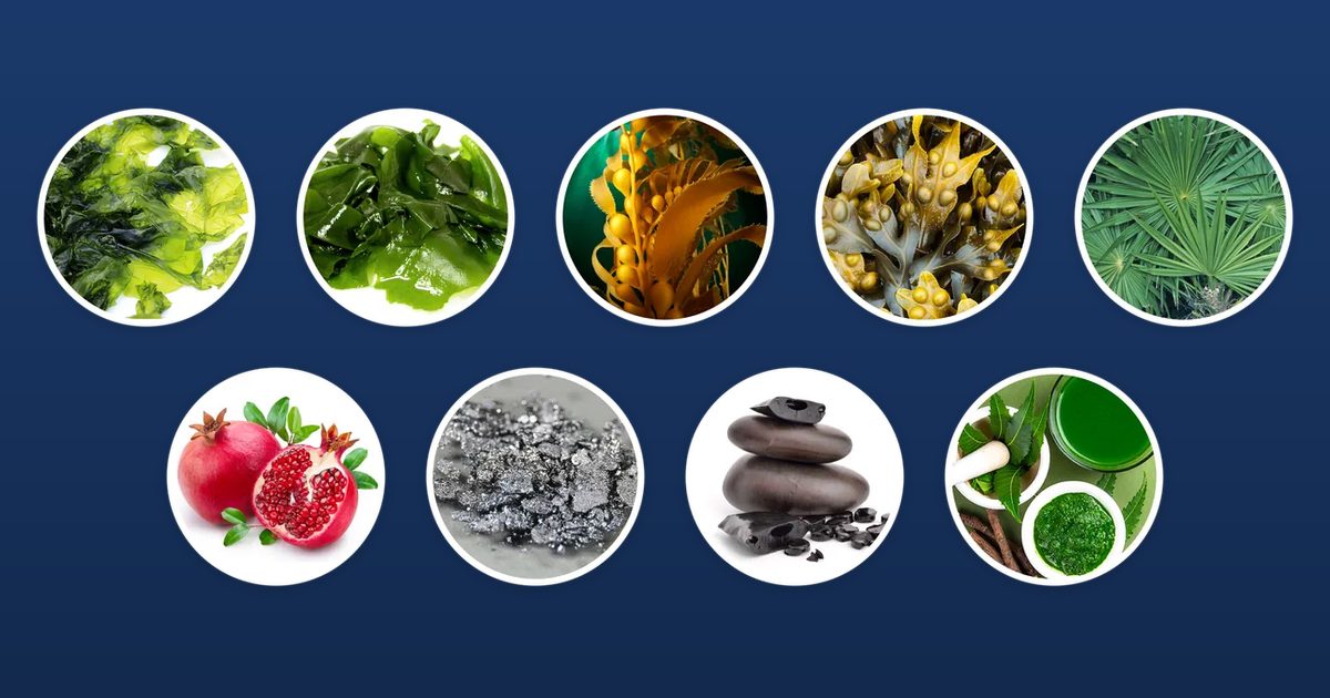 Nine round photos of the ingredients pictured by the manufacturer, including seaweeds, pomegranate, saw palmetto leaves, shilajit and neem, on a navy background