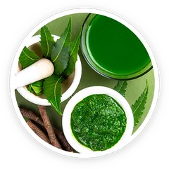 Neem leaves, a traditional Ayurvedic ingredient in Prostadine