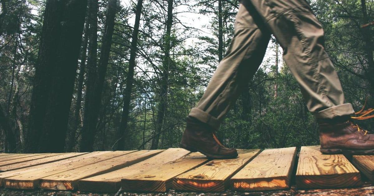 A man walking on a wooden boardwalk trail through a forest, seen from behind